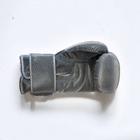 Arsa Sports Boxing Gloves by Arsa Fitness - SKINZ Collection